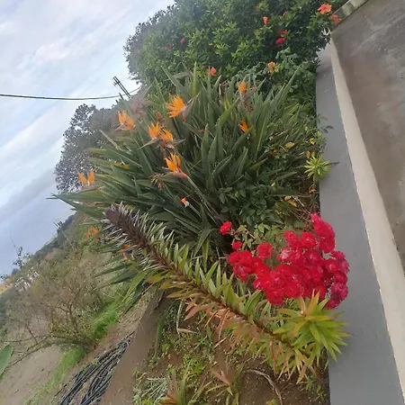 Maria Jose Rural House Farm stay